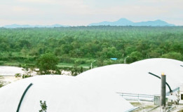 Akhirnya, Indonesia Punya PLT Biogas (terbaharukan) di Belitung